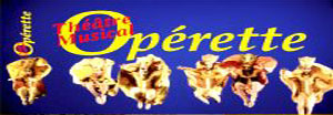 logo ANAO